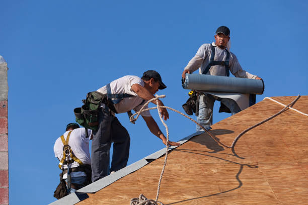 Best Roof Maintenance Services  in Wakeman, OH